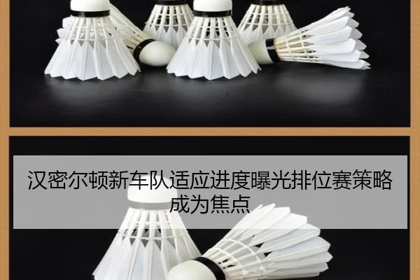 汉密尔顿新车队适应进度曝光排位赛策略成为焦点